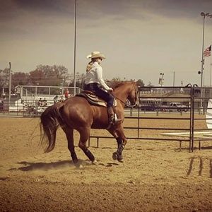 Meet your Posher, Alexa